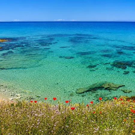 - Little Paradise * Valledoria (Sardinia)